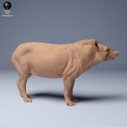 Productfoto Dier Figur Diorama, Modelbouw: 0: Tapir: Dieren uit Zuid-Amerika
