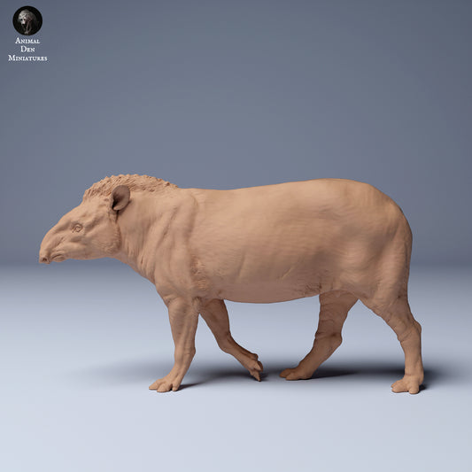 Productfoto Dier Figur Diorama, Modelbouw: 0: Wandelende tapir: Dieren uit Zuid-Amerika