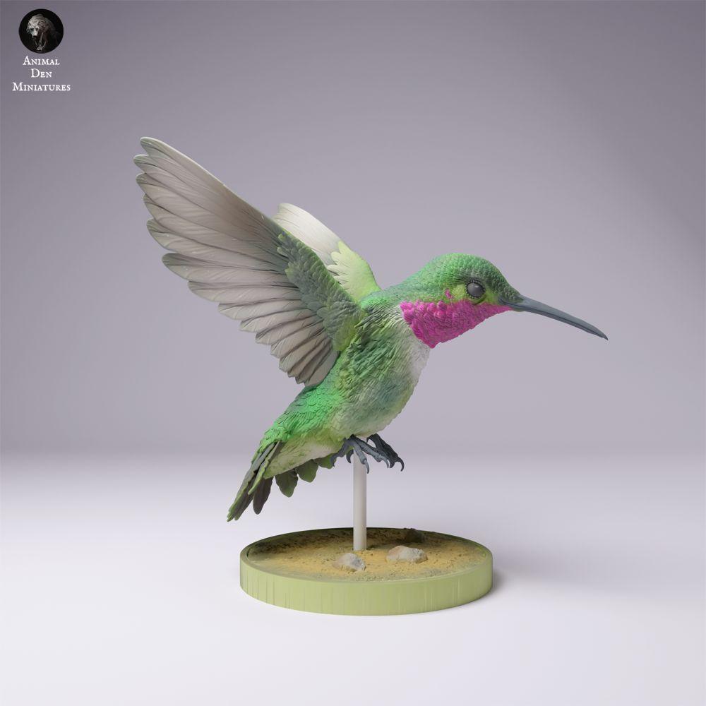 Productfoto 3: Vogel dierenfiguur: Breitschwanzkolibrie (25_01_08)