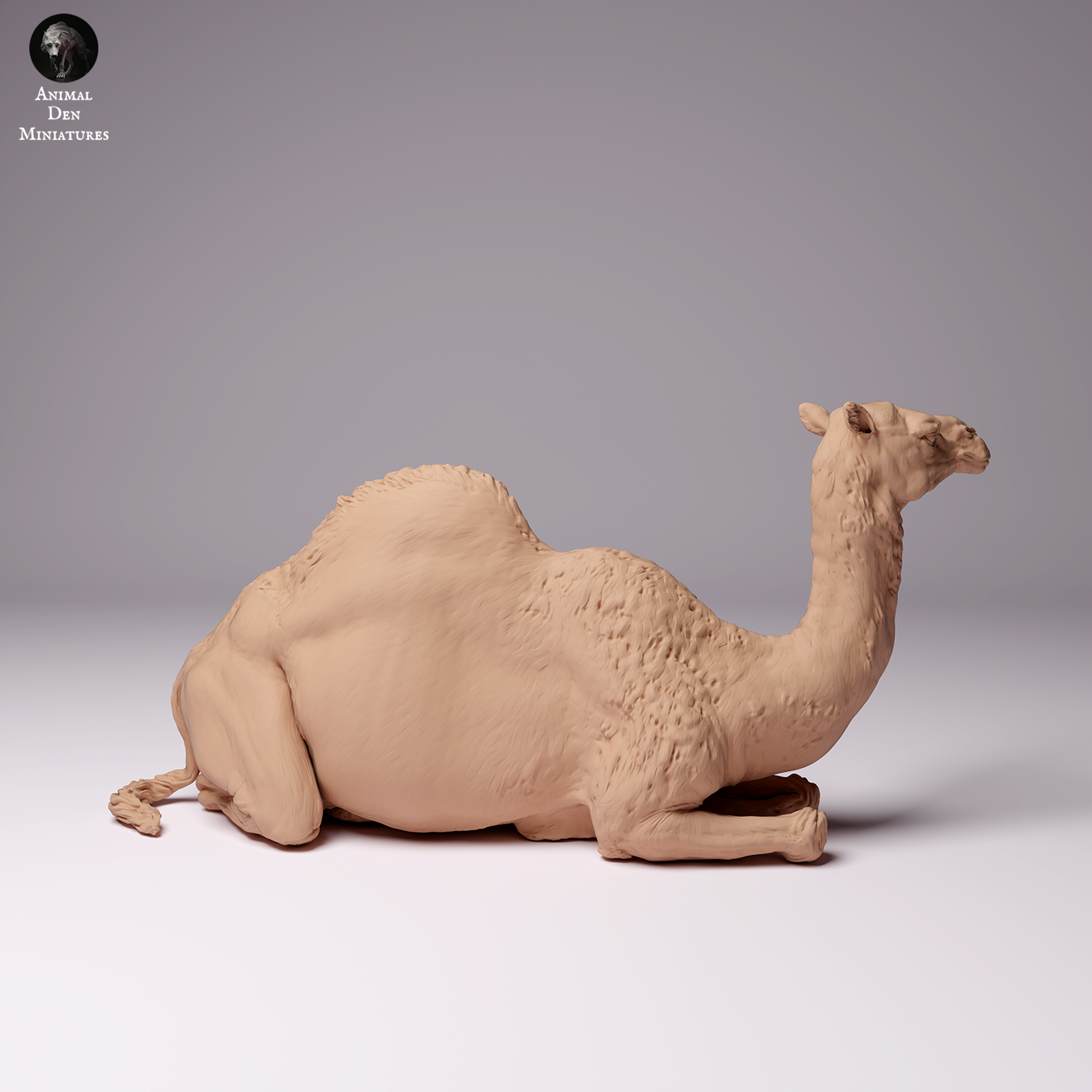 Productfoto Dier Figuur Diorama, Modelbouw: 0: Dromedaris / Kameel - vrouwelijke Woestijnkameel liggend: Dieren uit Afrika