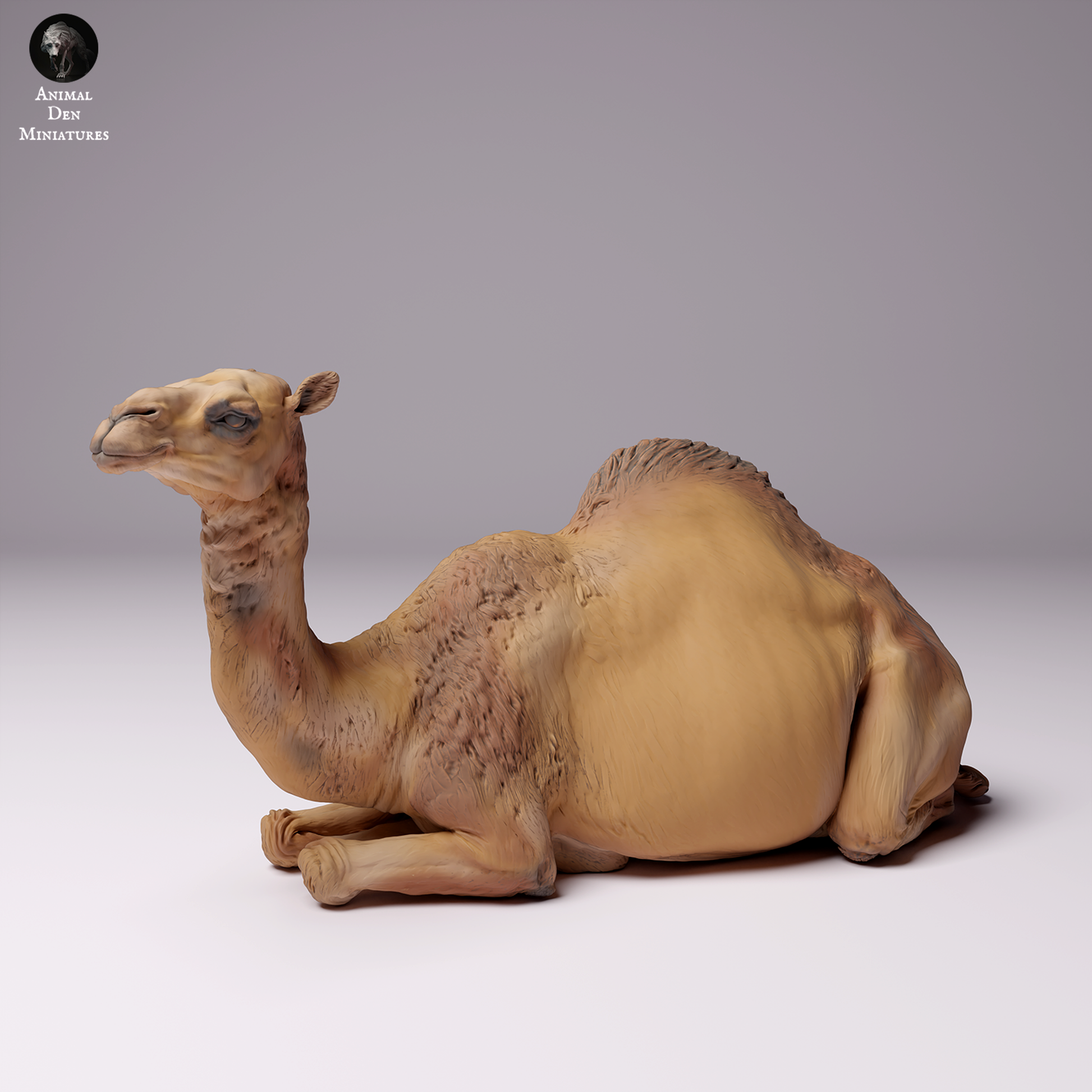 Productfoto Dier Figuur Diorama, Modelbouw: 0: Dromedaris / Kameel - vrouwelijke Woestijnkameel liggend: Dieren uit Afrika