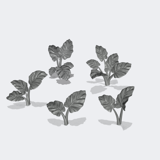 Productfoto Miniatuur Meubels, Inrichting Diorama en Modelbouw 0: Planten en Gewassen: 5 Olifantsoorplanten - Alocasia Odora