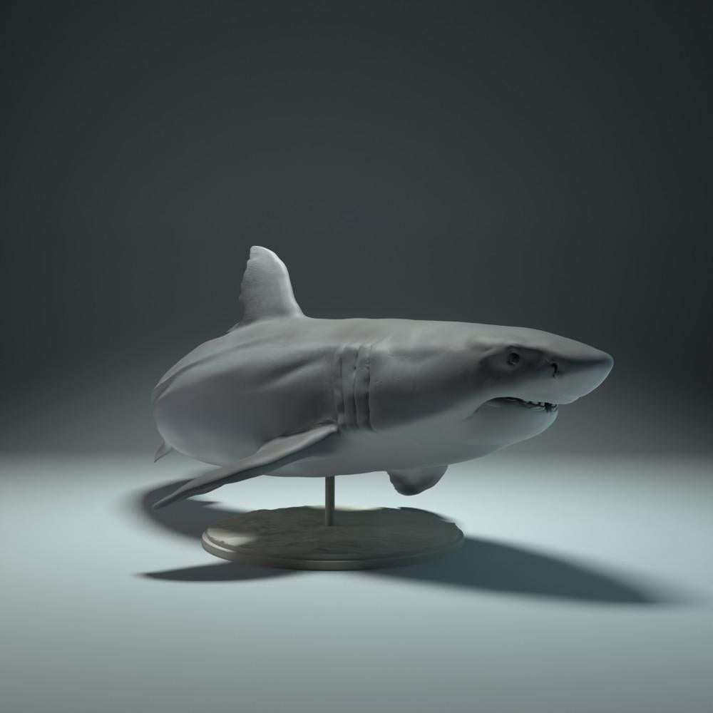Productfoto dierenfiguur Animal Den Miniatures 3: zeedier dierenfiguur: witte haai (22_09_02)