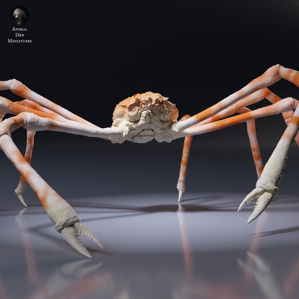 Productfoto dierfiguur Animal Den Miniatures 6: Zeedierfiguur: Japanse reuzenkrab (26_09_04)