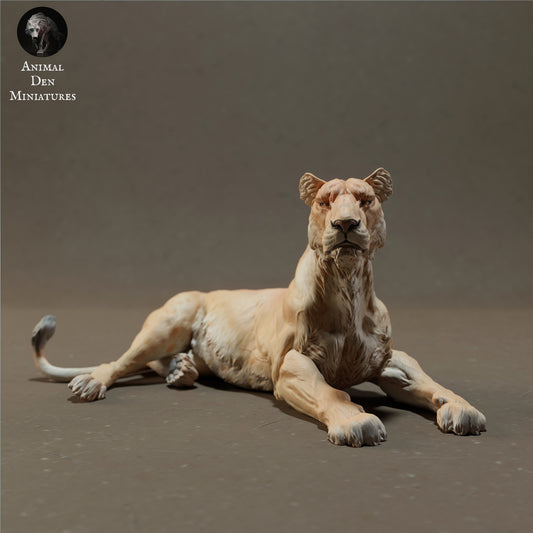 Productfoto Dier Figur Diorama, Modelbouw: 0: Liggende Leeuwin - Dieren van de Savanne