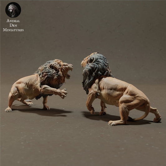 Productfoto Dier Figuur Diorama, Modelbouw: 0: Vechtende Leeuwen - Dieren van de Savanne
