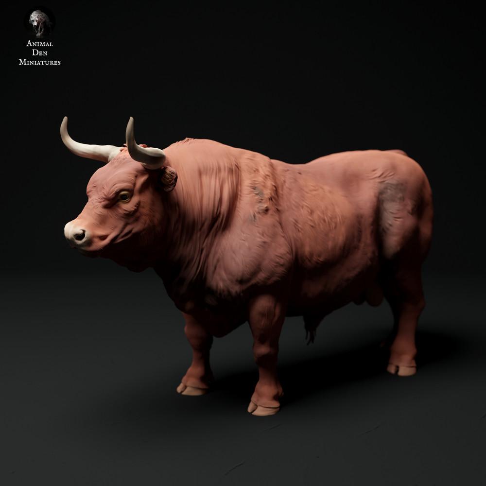 Productfoto dierenfiguur Animal Den Miniatures 2: Boerderijdierenfiguur: Rode Devon-stier (24_01_62)