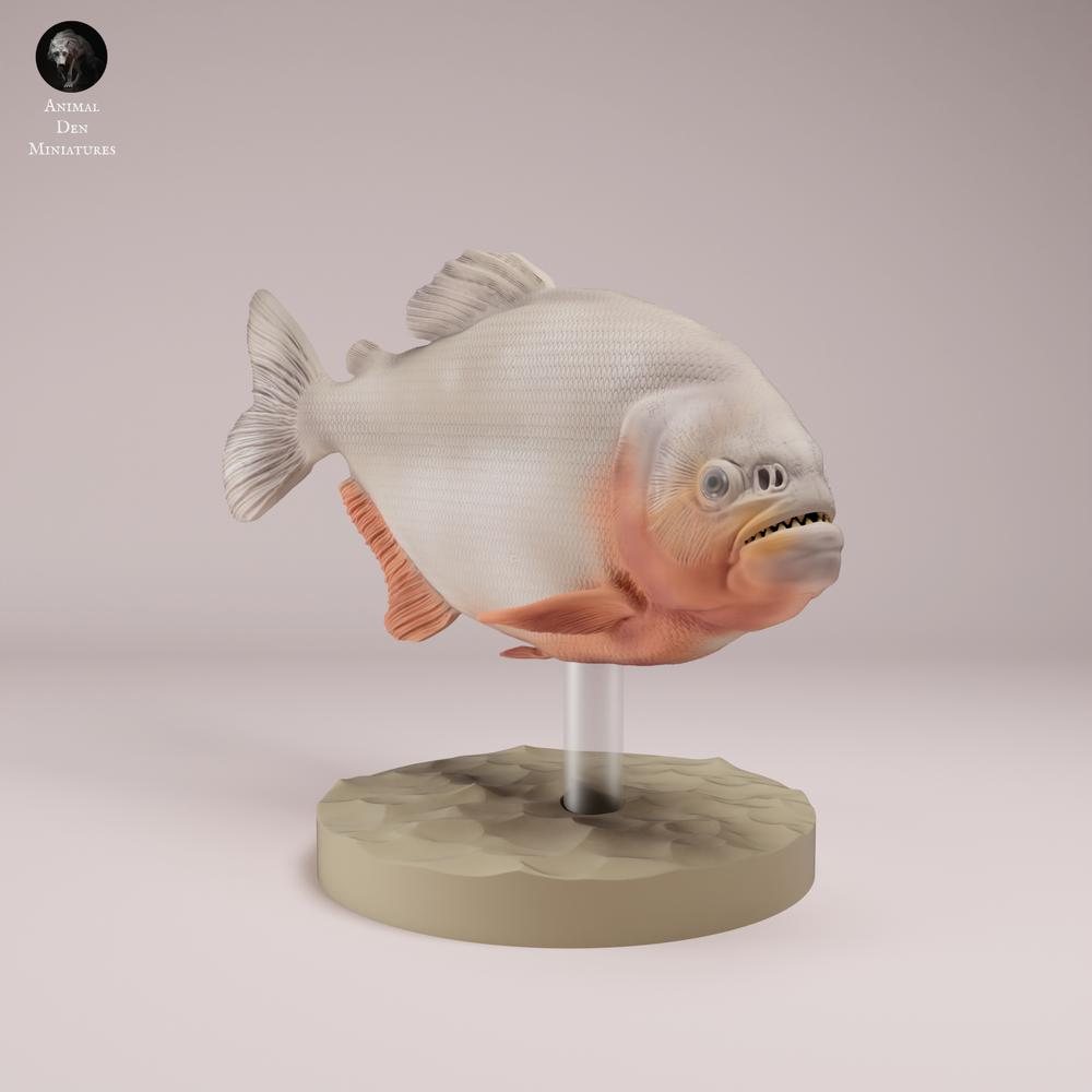 Productfoto dierenfiguur Animal Den Miniatures 3: visfiguur: rode piranha met rode buik (26_08_01)
