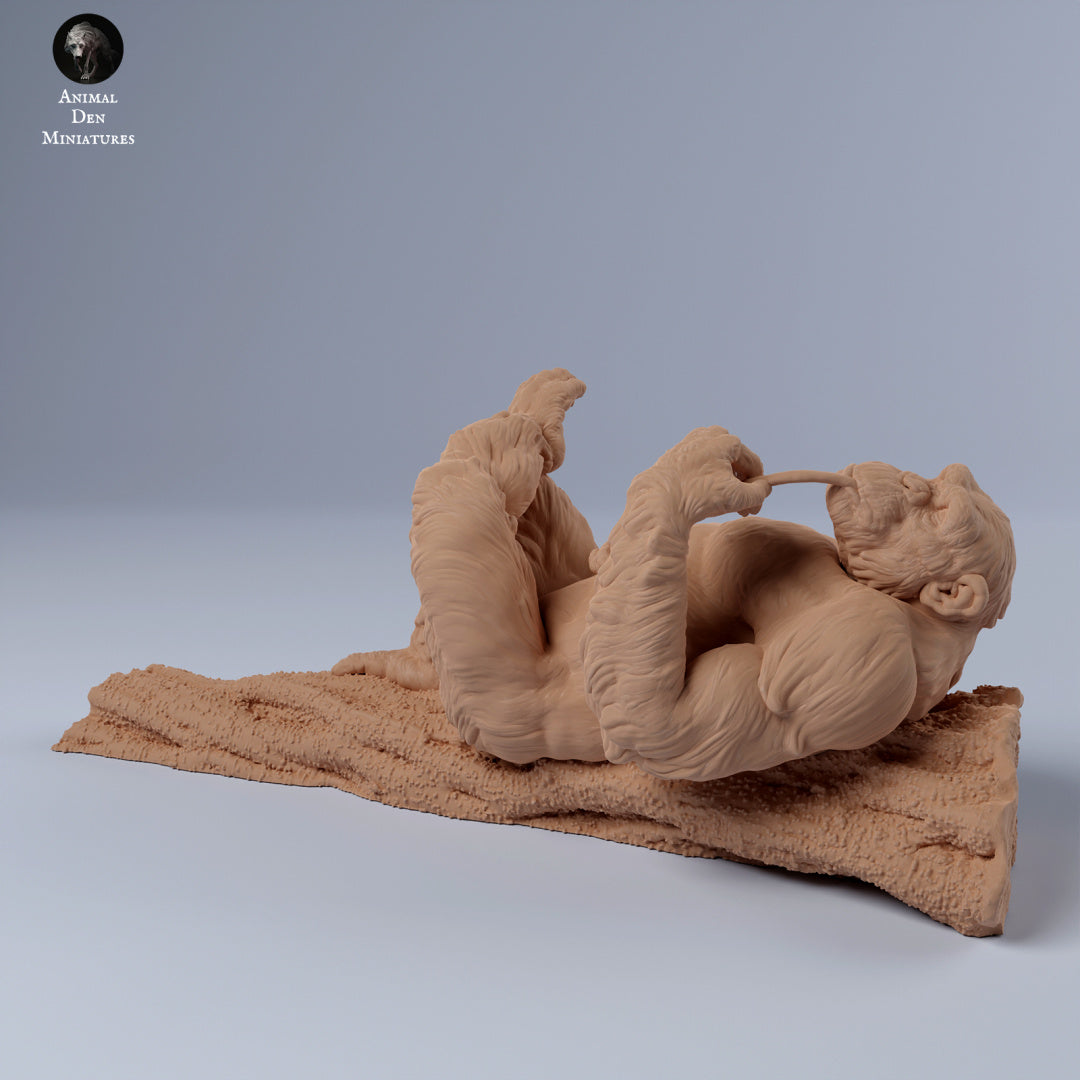 Productfoto Dierfiguur Diorama, Modelbouw: 0: Mannelijke chimpansee liggend op tak: Dieren uit Afrika