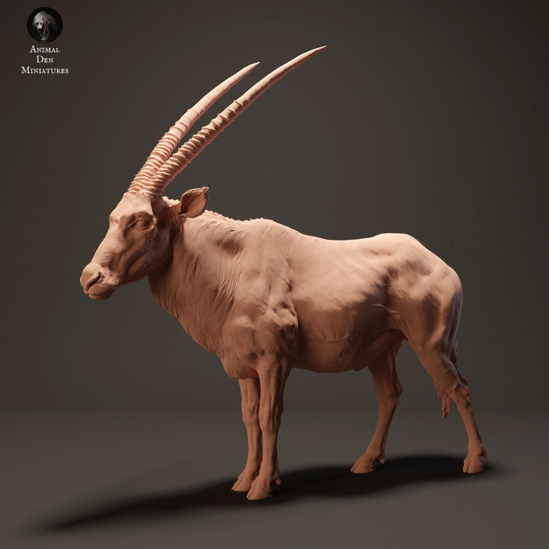 Productfoto Dier Figur Diorama, Modelbouw: 0: Gemsbok Antilope: Dieren uit Afrika