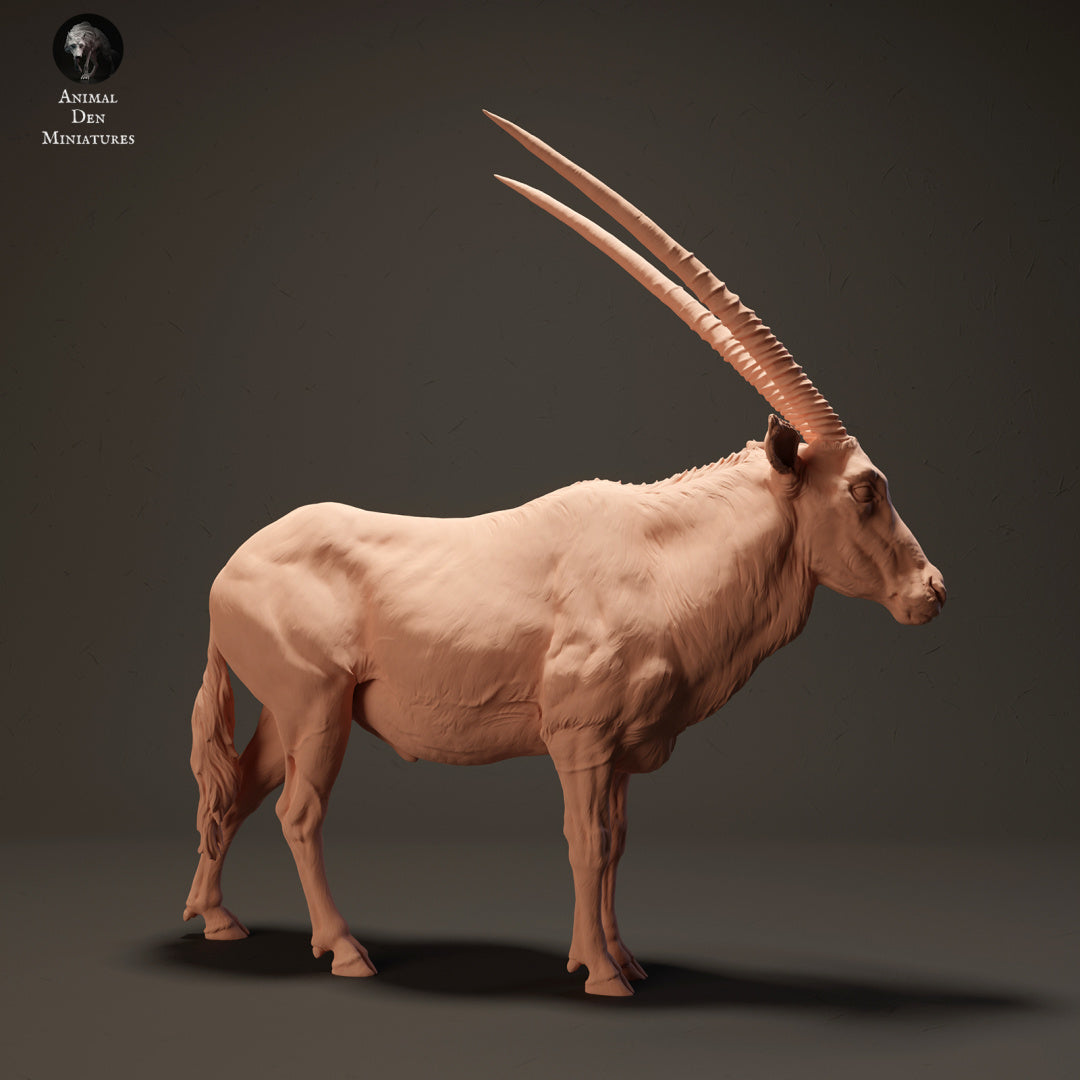 Productfoto Dier Figur Diorama, Modelbouw: 0: Gemsbok Antilope: Dieren uit Afrika