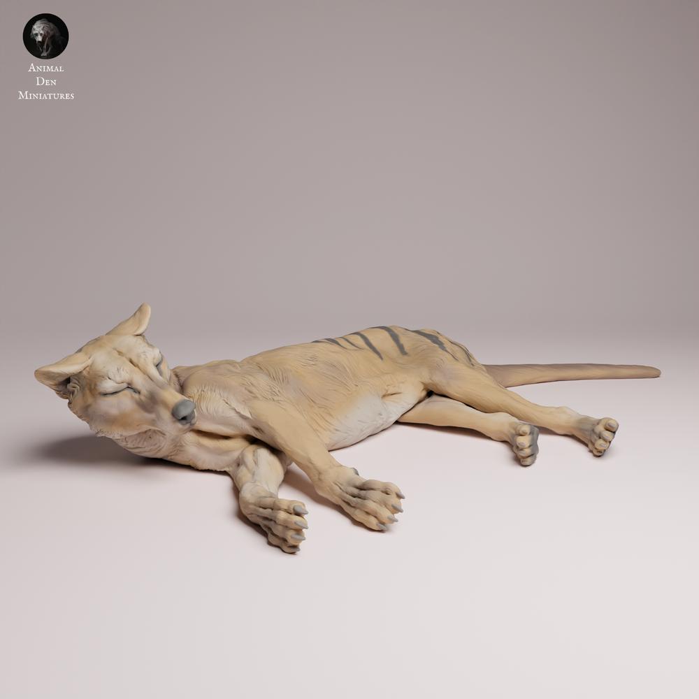 Productfoto Tabletop 28mm Lord of the Print (LotP) 3: Wildtier dierenfiguur: Tasmaanse tijger - liggend (26_04_07)
