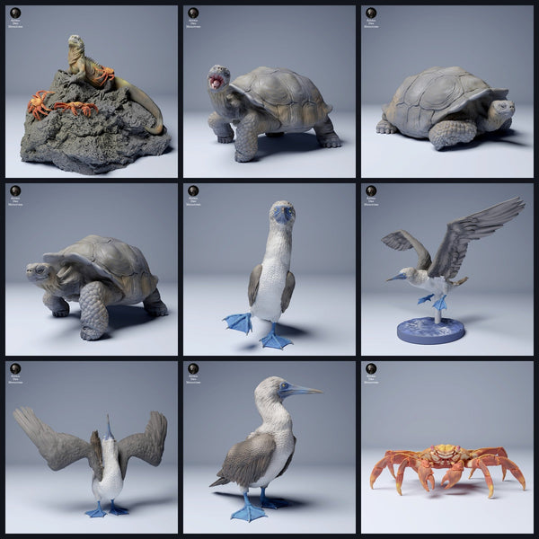 Dit beeld is de categorieafbeelding voor de release 24_08: Galápagos-dierminiaturen en dierfiguren voor diorama en modelbouw