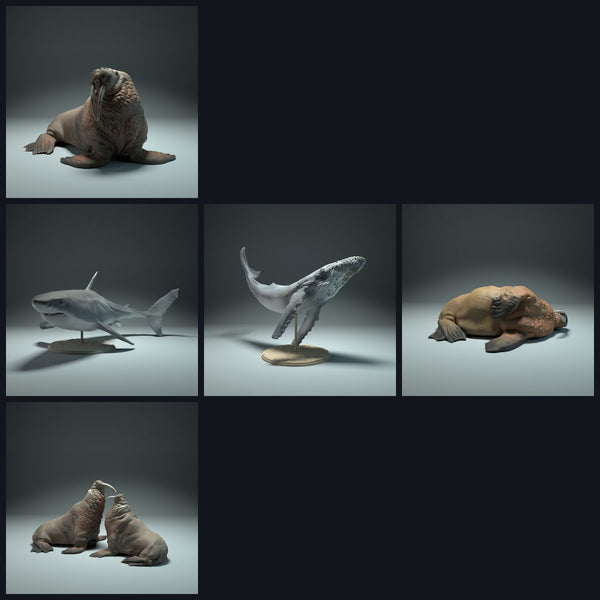 Dit beeld is de categoriefoto voor de release 22_09: Meeres-dierminiaturen voor diorama en modelbouw