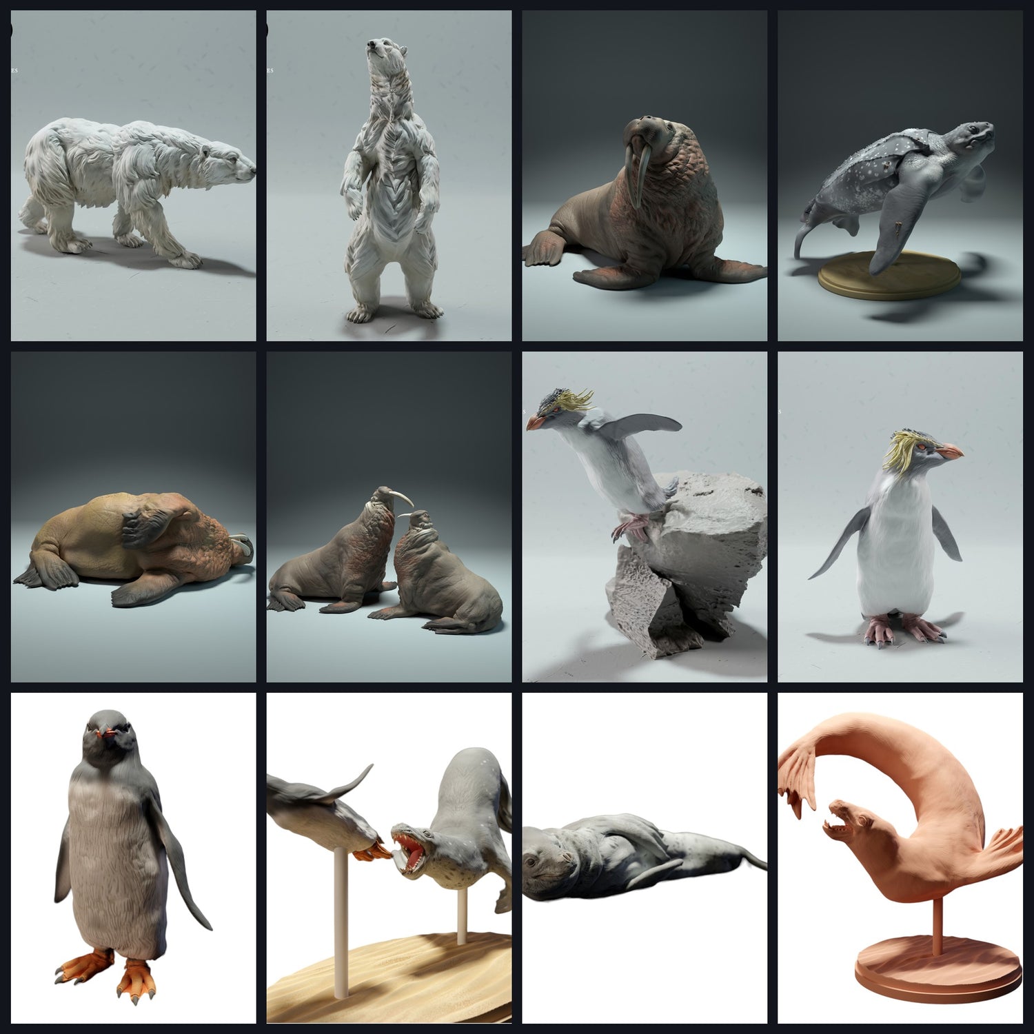 Dit beeld is de categoriefoto voor Leefgebied: Kust & Ondiep Zee (Riffen/Estuaria)