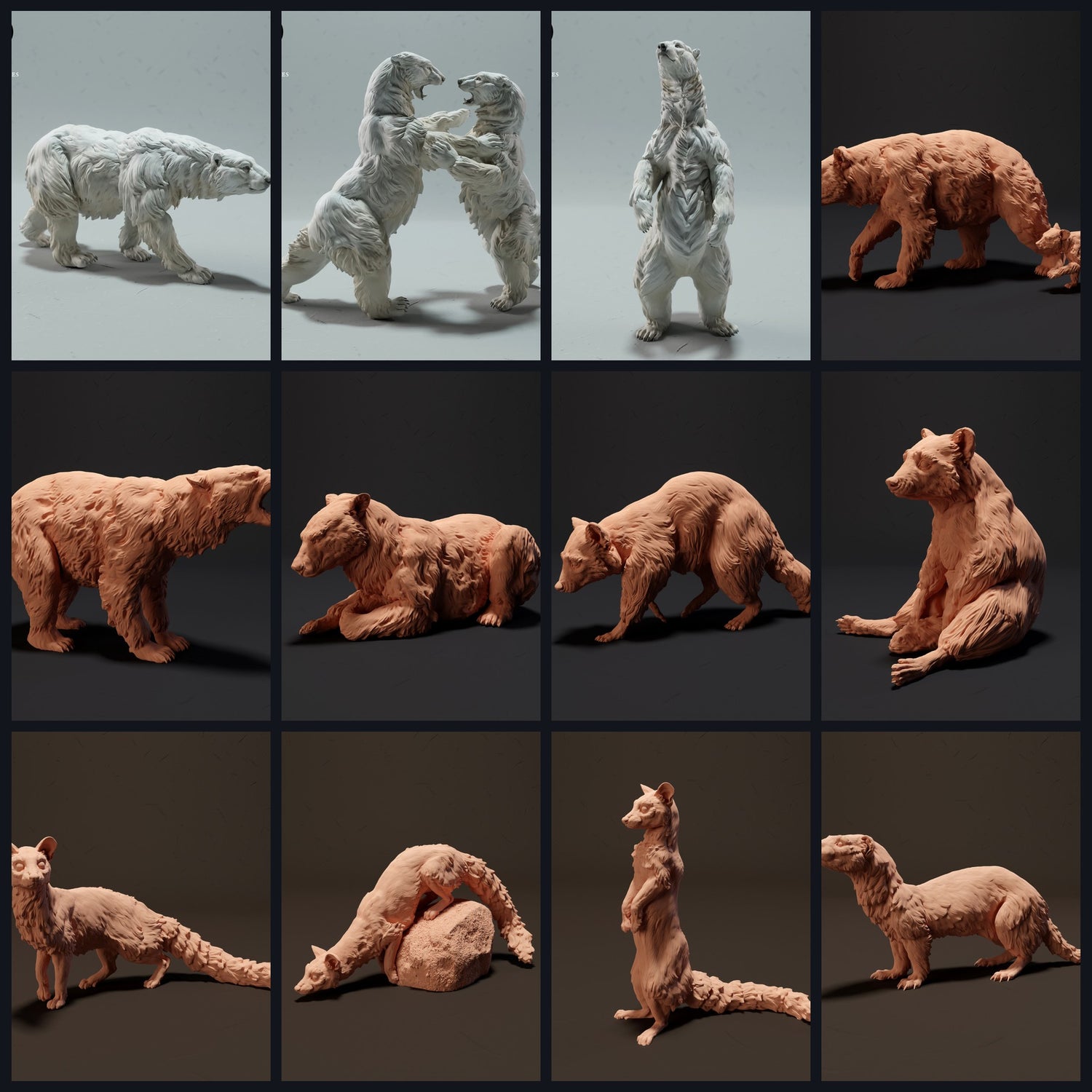 Dit beeld is de categoriefoto voor diersoort: Beren & Kleine Roofdieren