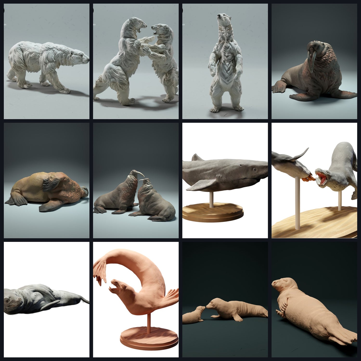 Dit beeld is de categorieafbeelding voor Leefgebied: Poolzee