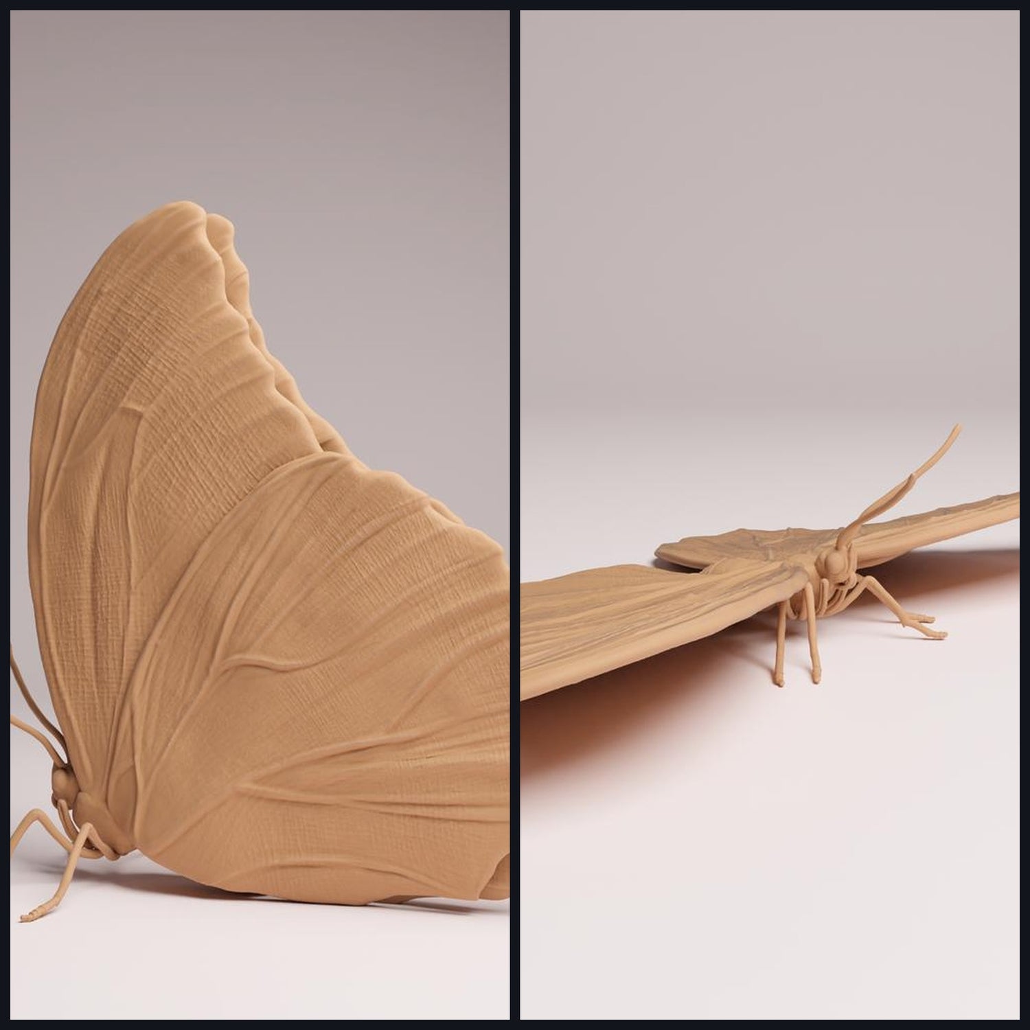 Dit beeld is de categorieafbeelding voor diersoort: Insecten