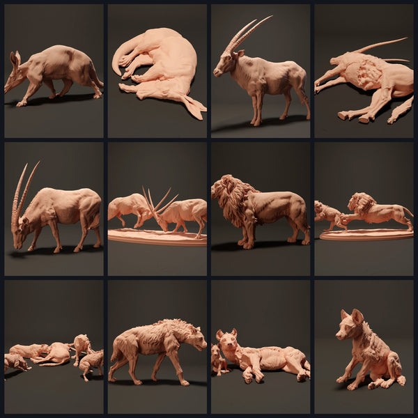 Dit beeld is de categoriefoto voor de release 23_08: Namib-Woestijn dierenfiguren en dierenminiaturen voor diorama & modelbouw