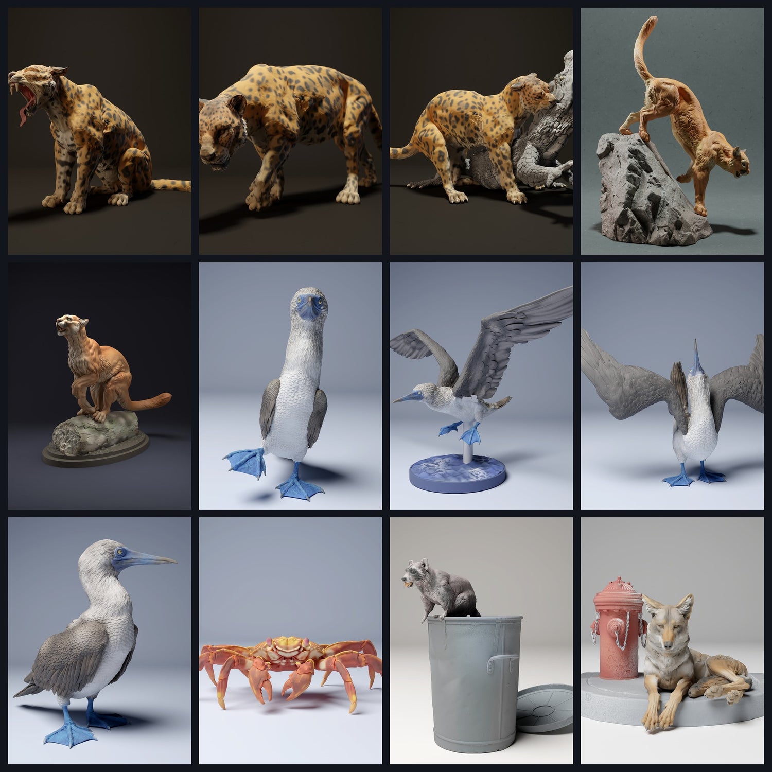 Dit beeld is de categoriefoto voor regio: Midden-Amerika