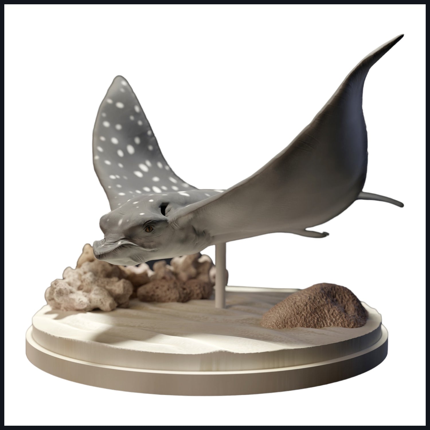 Dit beeld is de categorieafbeelding voor habitat: koraalrif