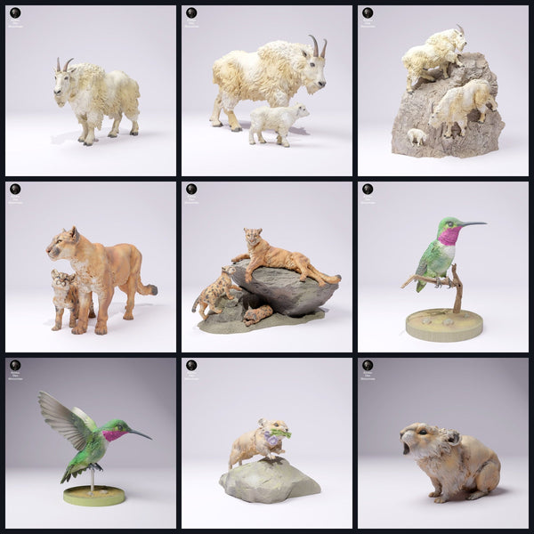 Dit beeld is de categorie-afbeelding voor de release 25_01: Gebirgs-dierminiaturen en dierfiguren voor diorama.
