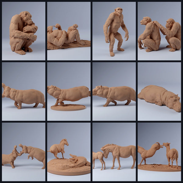 Dit beeld is de categoriefoto voor de release 24_03: Savannen-dierminiaturen voor diorama en modelbouw