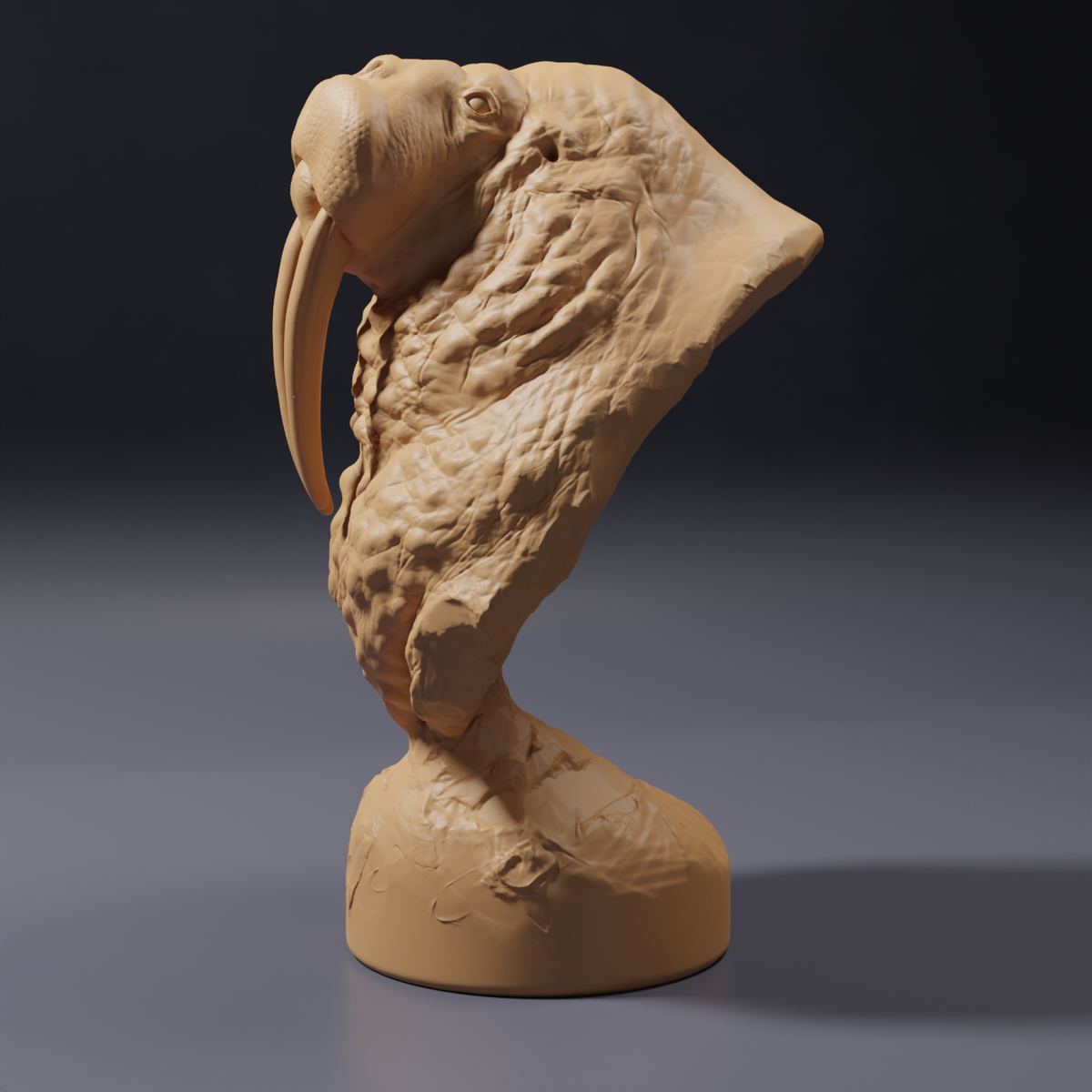 Productfoto dierenfiguur Animal Den Miniatures 2: zeedierfiguur: walrusbuste (26_09_02)