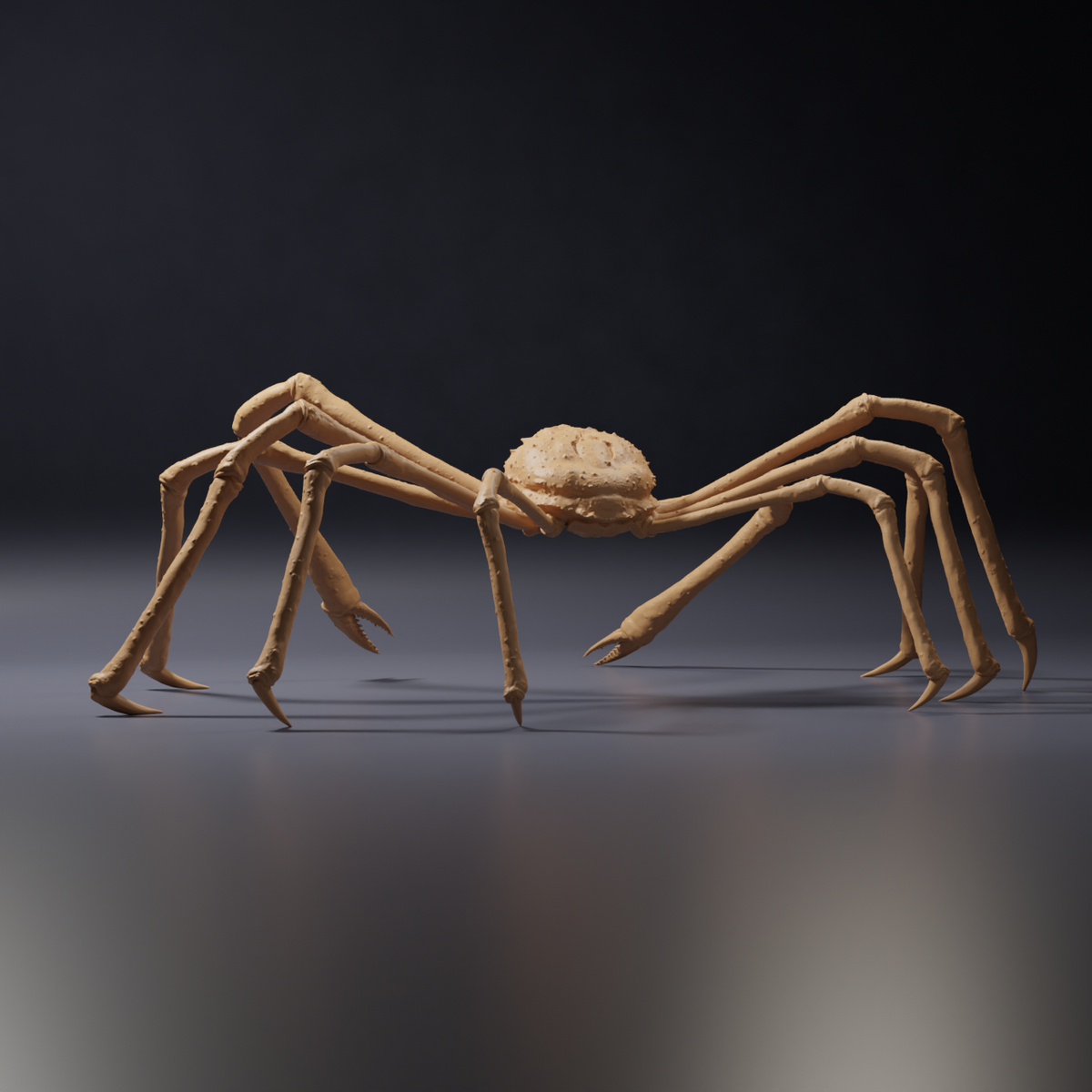 Productfoto dierenfiguur Animal Den Miniatures 3: zeedierfiguur: Japanse reuzenkrab (26_09_04)