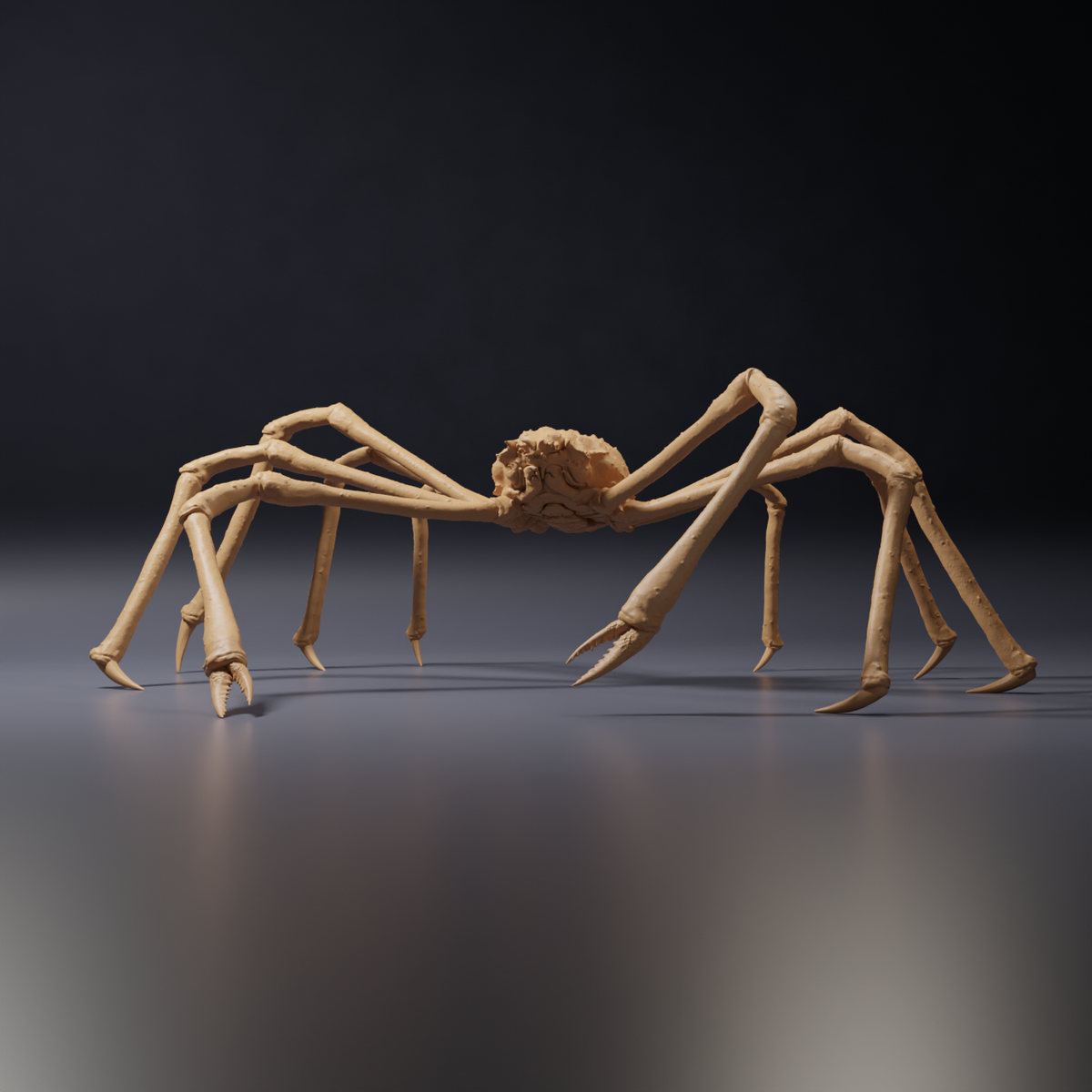 Productfoto dierenfiguur Animal Den Miniatures 0: zeedier dierenfiguur: Japanse reuzenkrab (26_09_04)