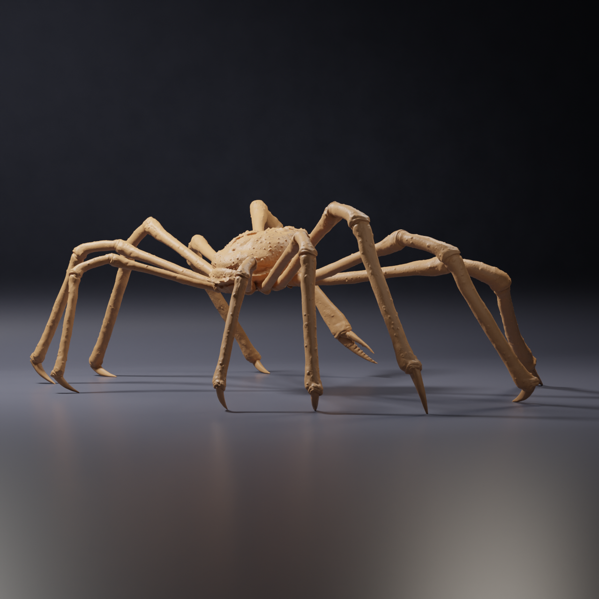 Productfoto dierenfiguur Animal Den Miniatures 4: zeedierfiguur: Japanse reuzenkrab (26_09_04)