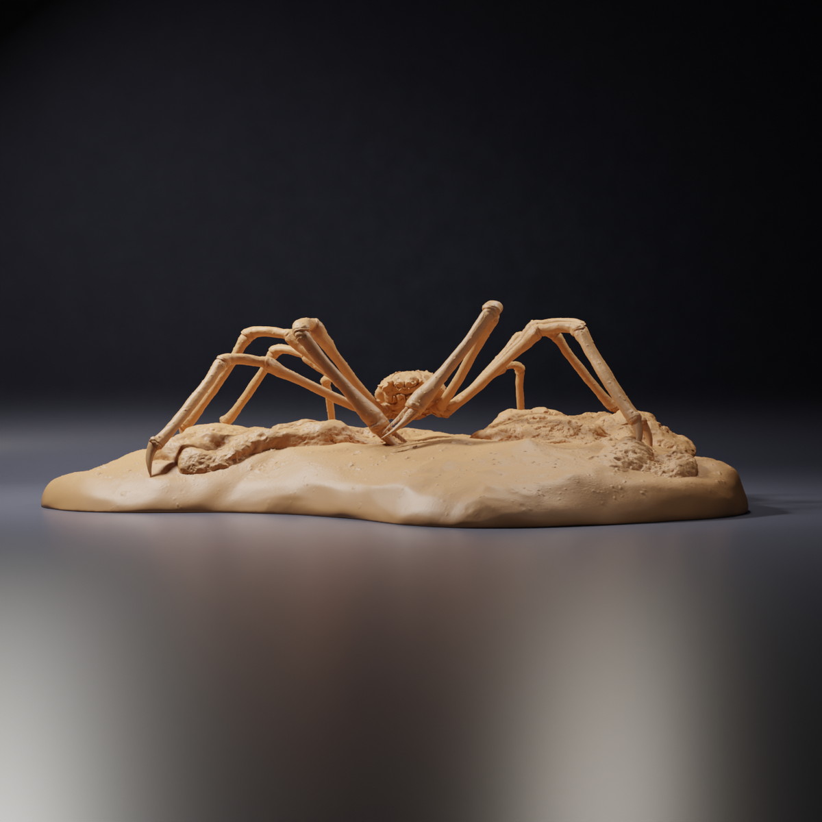Productfoto dierenfiguur Animal Den Miniatures 0: zeedierfiguur: Japanse reuzenkrab (26_09_05)