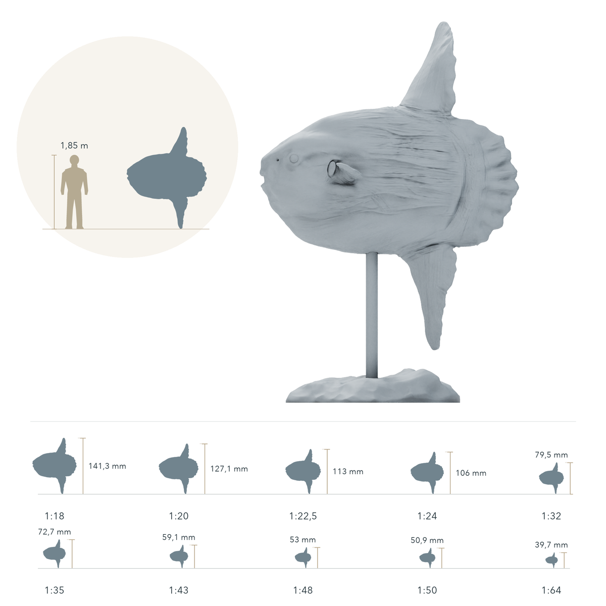 Productfoto dierfiguur Animal Den Miniatures 1: zeedierfiguur: maanvis (26_09_06)