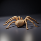Productfoto dierenfiguur Animal Den Miniatures 4: spinnenfiguur: Goliathvogelspin (26_10_01)