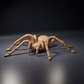 Productfoto dierenfiguur Animal Den Miniatures 0: spinnenfiguur: Goliathvogelspin (26_10_01)
