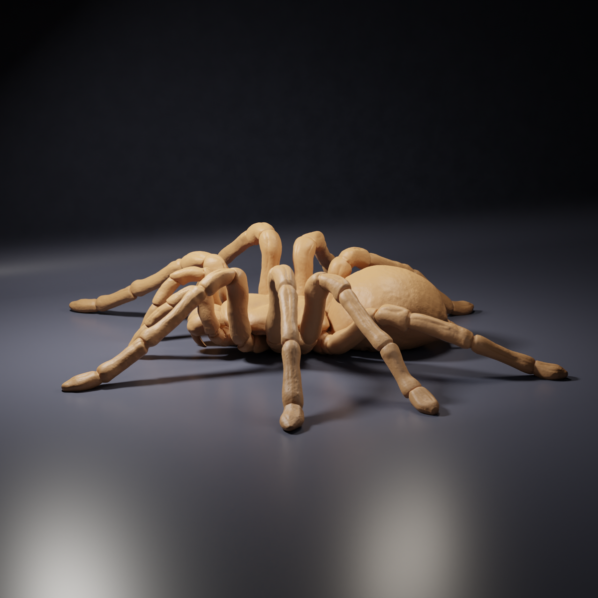 Productfoto dierenfiguur Animal Den Miniatures 5: spinnenfiguur: Goliathvogelspin (26_10_01)