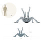 Productfoto dierfiguur Animal Den Miniatures 1: spinfiguur: Goliathvogelspin - dreighouding (26_10_02)