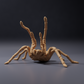 Productfoto dierenfiguur Animal Den Miniatures 0: spinnenfiguur: Goliathvogelspin - dreighouding (26_10_02)