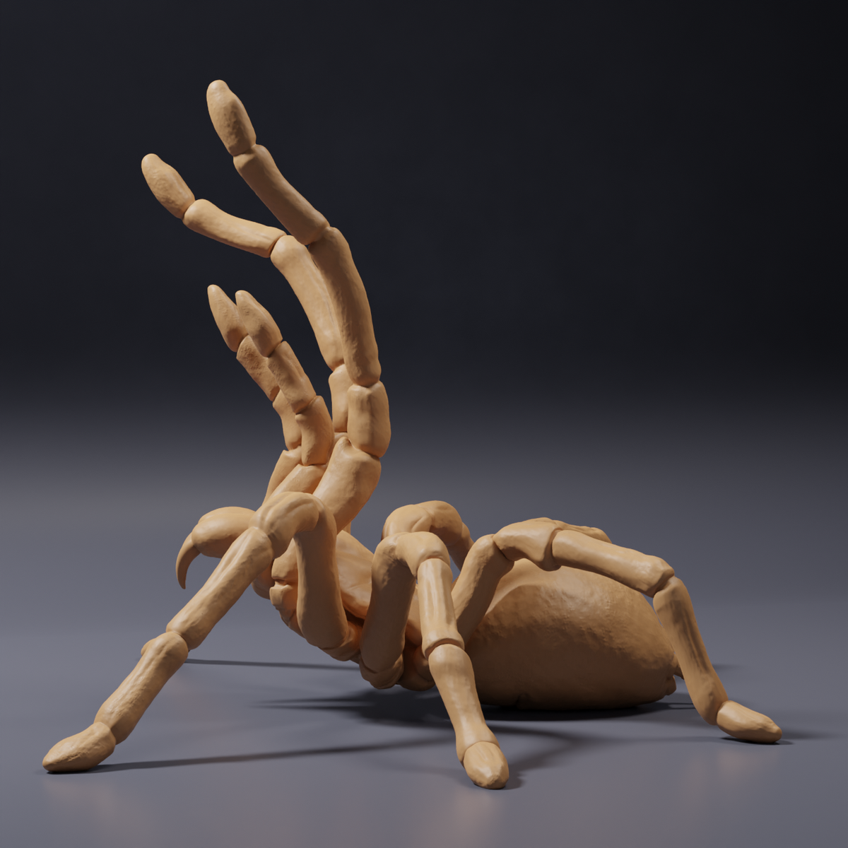 Productfoto dierenfiguur Animal Den Miniatures 3: spinachtige figuur: Goliathvogelspin - dreighouding (26_10_02)