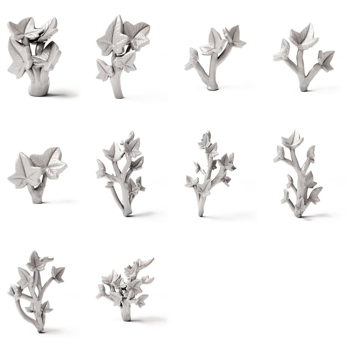 Set 04: 10 miniatuurplanten op een witte achtergrond (klimop)