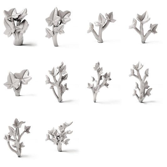 Set 04: 10 miniatuurplanten op een witte achtergrond (klimop)