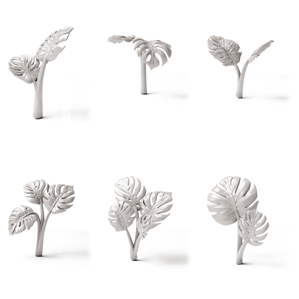 Set 05: 6 miniatuurplanten op een witte achtergrond (Monstera)