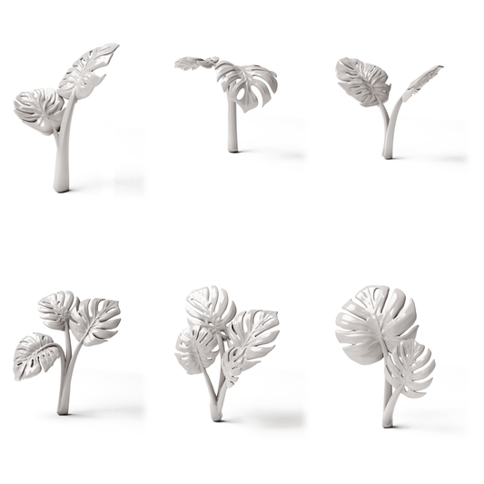 Set 05: 6 miniatuurplanten op een witte achtergrond (Monstera)
