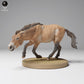 Produktfoto Tier Figur Diorama, Modellbau: 0: Wildtier Figur: laufendes Przewalski-Pferd (Ref 24_12_01)