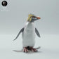 Productfoto Dier Figuur Diorama, Modelbouw: 0: Zeedier Figuur: Rots-pinguïn – Rockhopper (Ref 01_01_64)