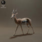 Productfoto Dierfiguur Diorama, Modelbouw: 0: Dieren van de Savanne Figur: Thomson-Gazelle (Ref 01_01_57)