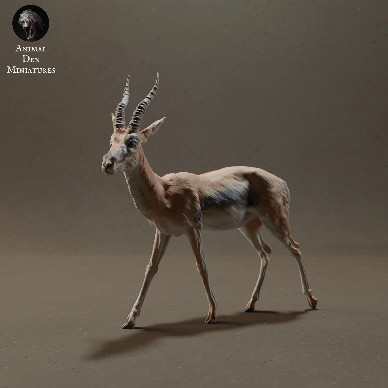 Productfoto Dierfiguur Diorama, Modelbouw: 0: Dieren van de Savanne Figur: Thomson-Gazelle (Ref 01_01_57)