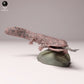 Produktfoto Tier Figur Diorama, Modellbau: 0: Wildtier Figur: Japanischer Riesensalamander mit Fisch (Ref 24_10_03)