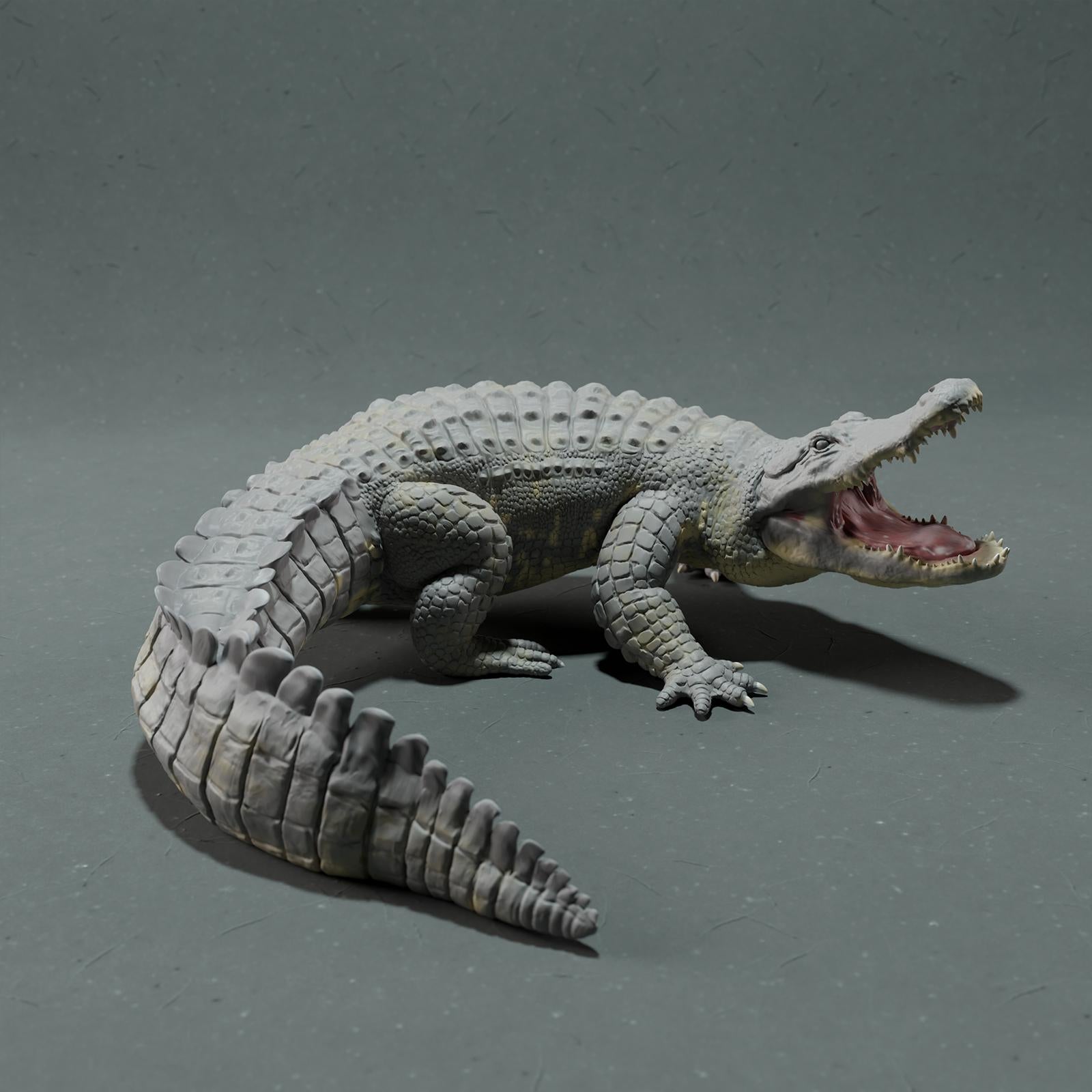 Productfoto Dierfiguur Diorama, Modelbouw: 0: Wilde Dierfiguur: Amerikaanse Alligator – Aanvalshouding (Ref 01_01_78)