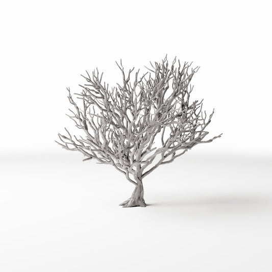 Productfoto diorama en modelbouw 0: Dioramaplanten: bladloze struik met wortels (Ref. 1091D)